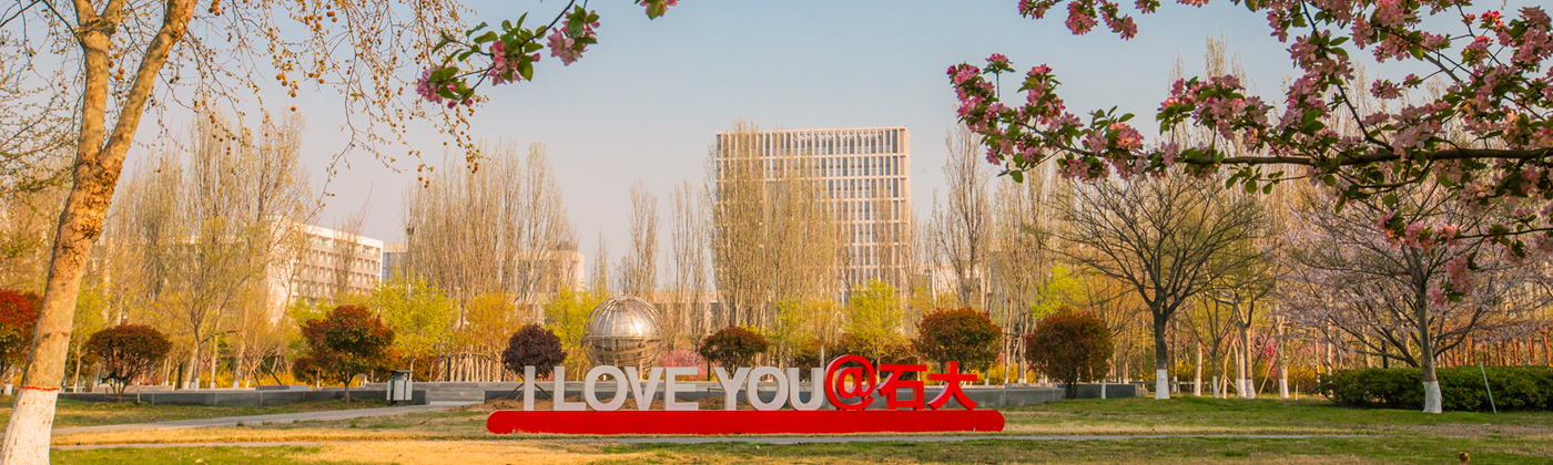 I LOVE YOU @石大